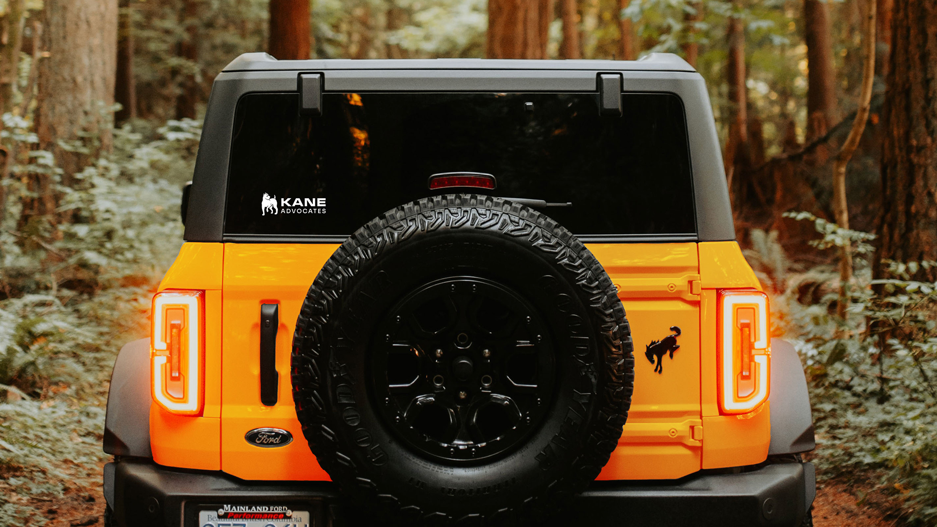 05B_KANE_Gallery-Slider